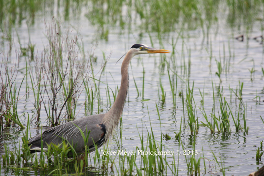 EF6D3E4F-15E2-4C5C-8B9F-741284EC0E0B