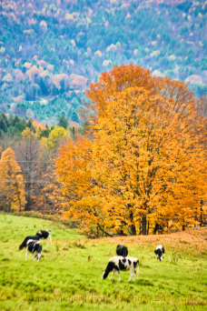 B87B25CF-71FD-4F87-8E81-FEFEF8BA23F5