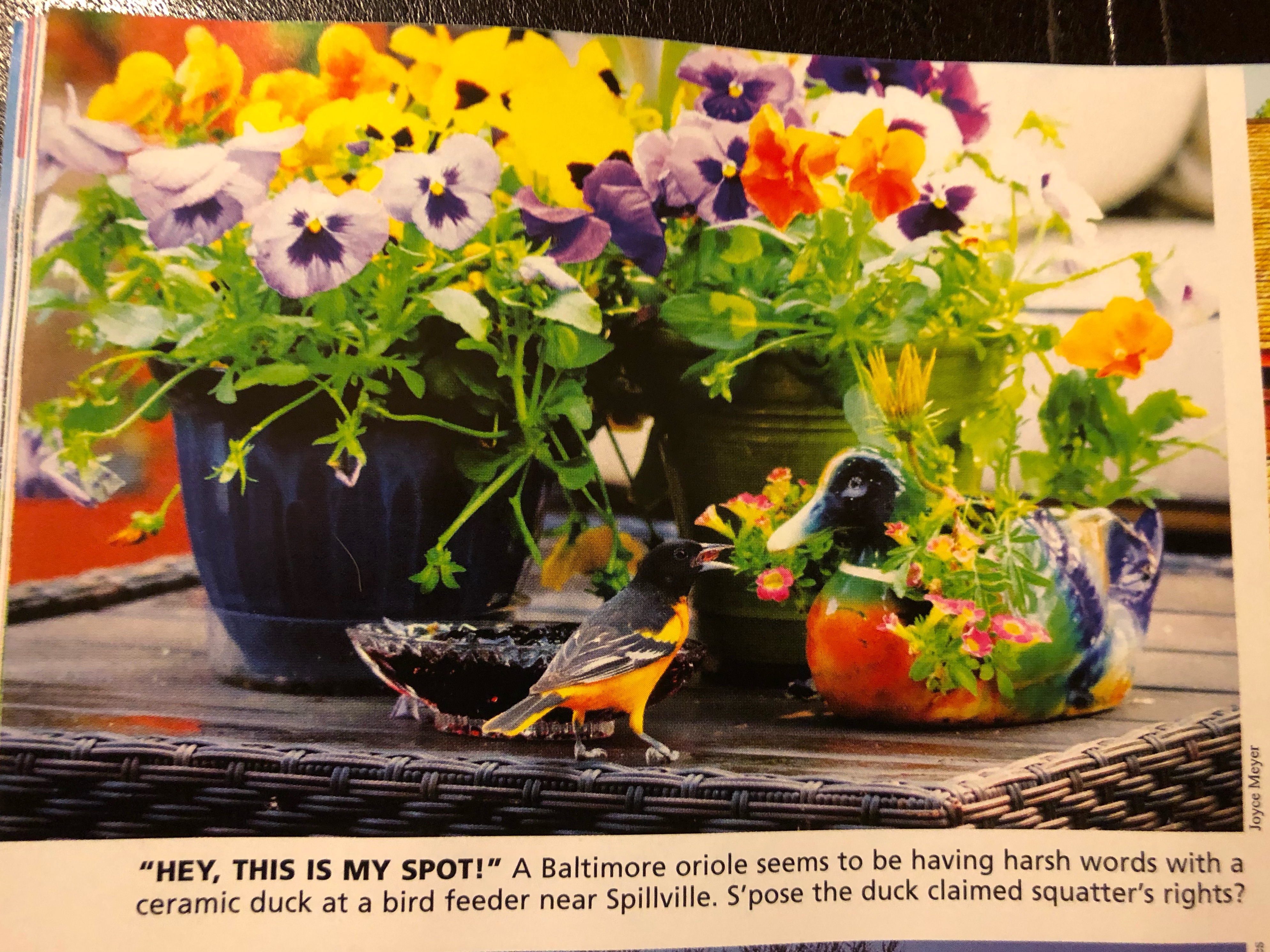 82997E3A-3BA8-4FB3-A7D6-78AABA10A0E0