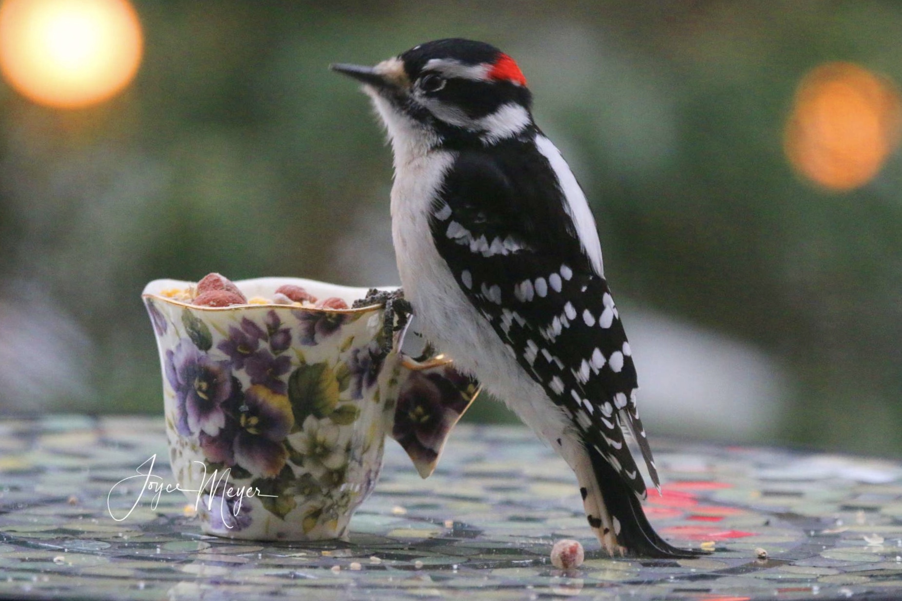 F3573989-4746-4B5A-9DCB-8EB976AB3B24