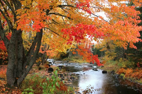 IMG_9867website signed