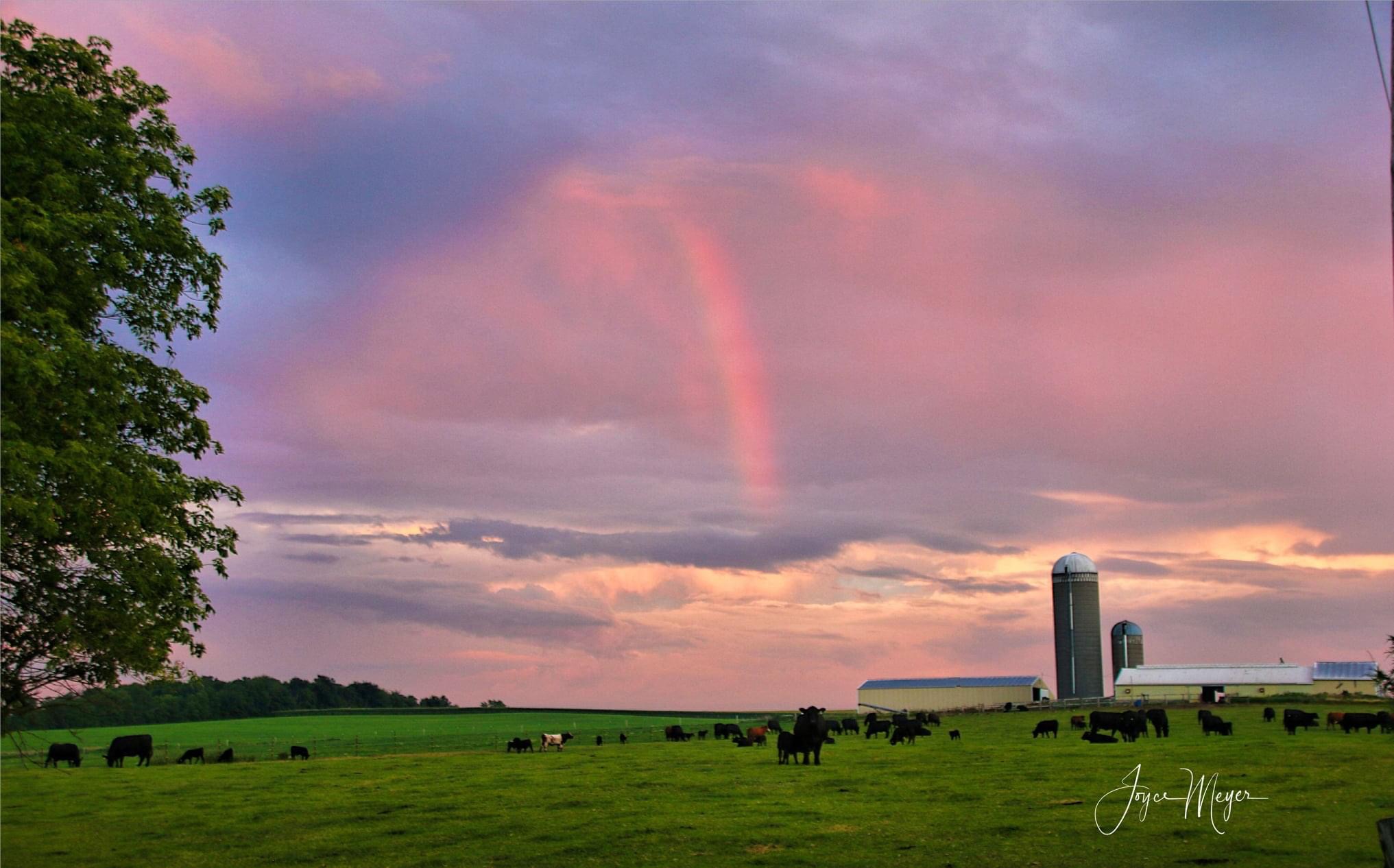 88A0AEB3-6FCE-4230-B98B-D569A9833EFE