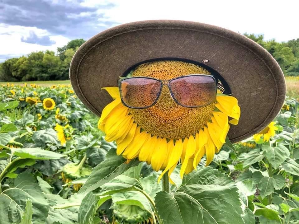 B38B1C8C-4653-48CF-8512-2D9A539E87BB